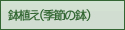 hV̓2011/AiG߂̉Ԕ j