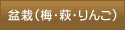 hV̓2011/~́i݂EE񂲁j