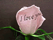 I love you/[Y[