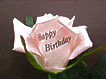 Happy Birthday/[Y[