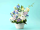AWuv/݂()
