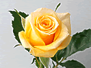 6̃oԑ̔̔ro/}X[[YNu-12̃oԑ̔-