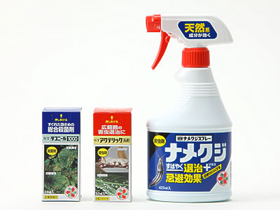 aQރZbg/Ԃ̔엿E|