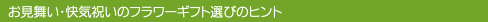  t[Mtg̑Iѕqg
