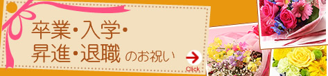 ojMtgW