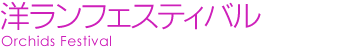mtFXeBoimjA